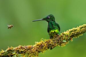 韩语昵称 韩文网名大全【带翻译】 21