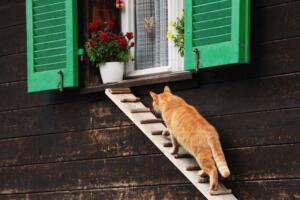 游戏名韩语韩文名ID【带翻译】 13