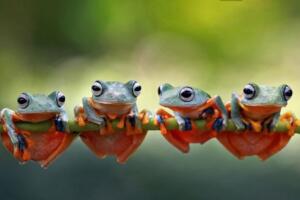 韩文昵称简短好听又好记的韩语网名-带翻译 9