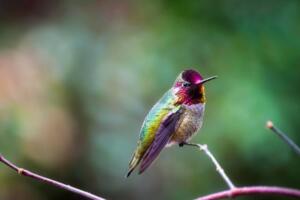 简短又好听的纯韩文游戏名【带翻译】 1