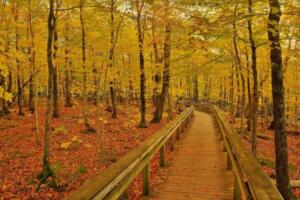 好听的韩文微信昵称韩语网名ID【带中文翻译】 28