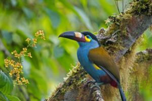 好听好看的韩文游戏名韩语角色ID带翻译网名【持续更新3】 23