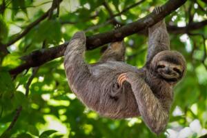 好听好看的韩文游戏名韩语角色ID带翻译网名【持续更新5】 20