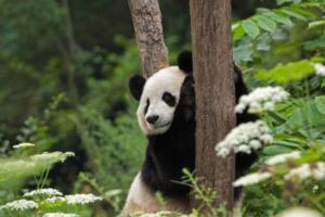 好听好看的韩文游戏名韩语角色ID带翻译网名【持续更新7】 17